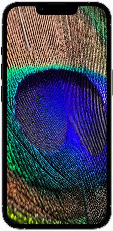 ceramic_shield_1_static__c4a3oecyob0i_medium